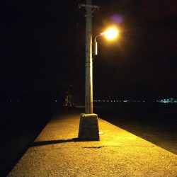 常夜灯下で爆釣